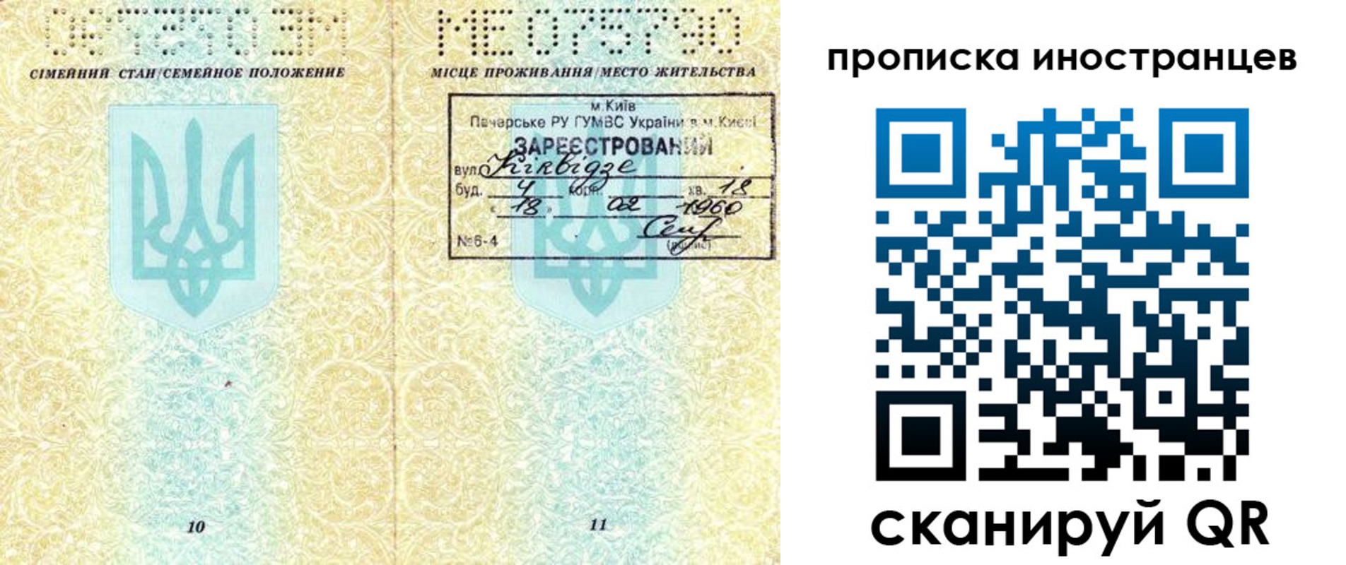 миграционный учет в Ельне